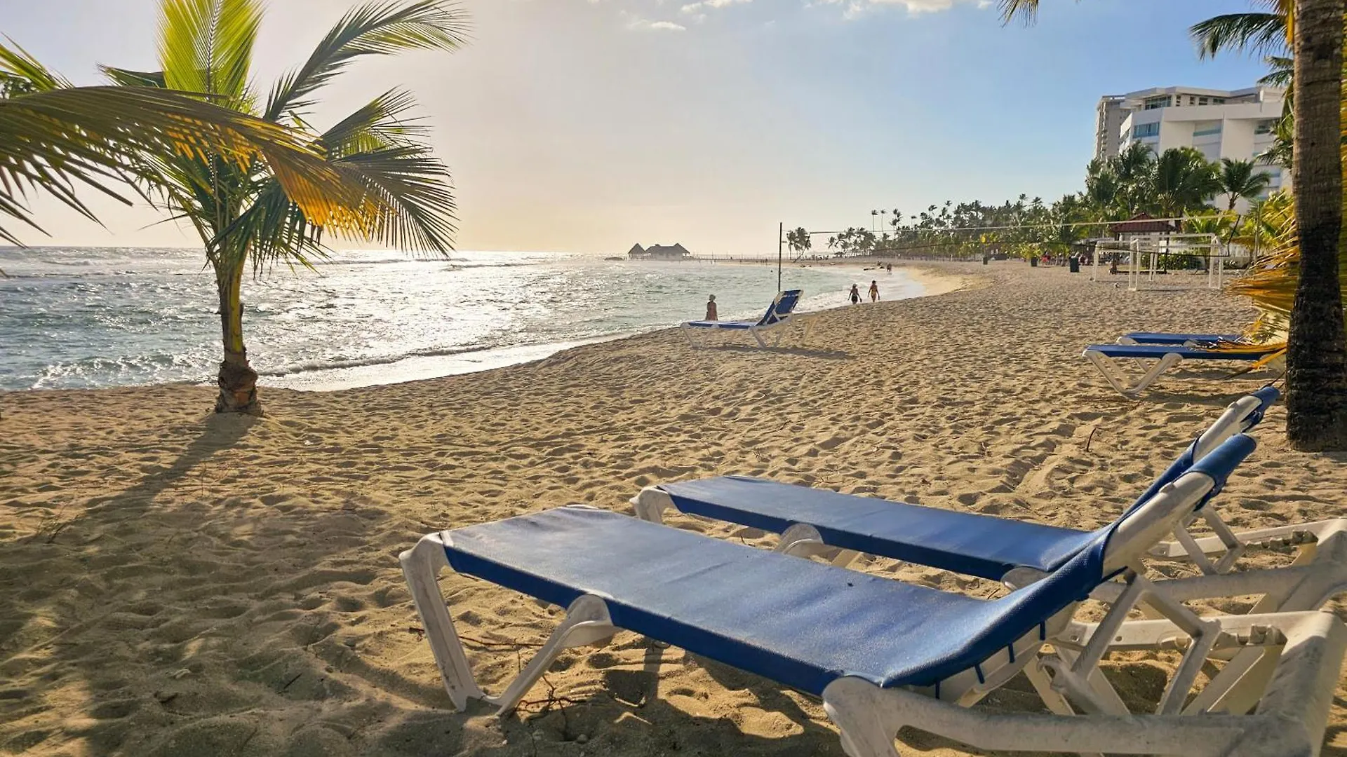 Apartment Luxe Beachfront Retreat With Pool, Gym & Private Beach Villa Del Mar