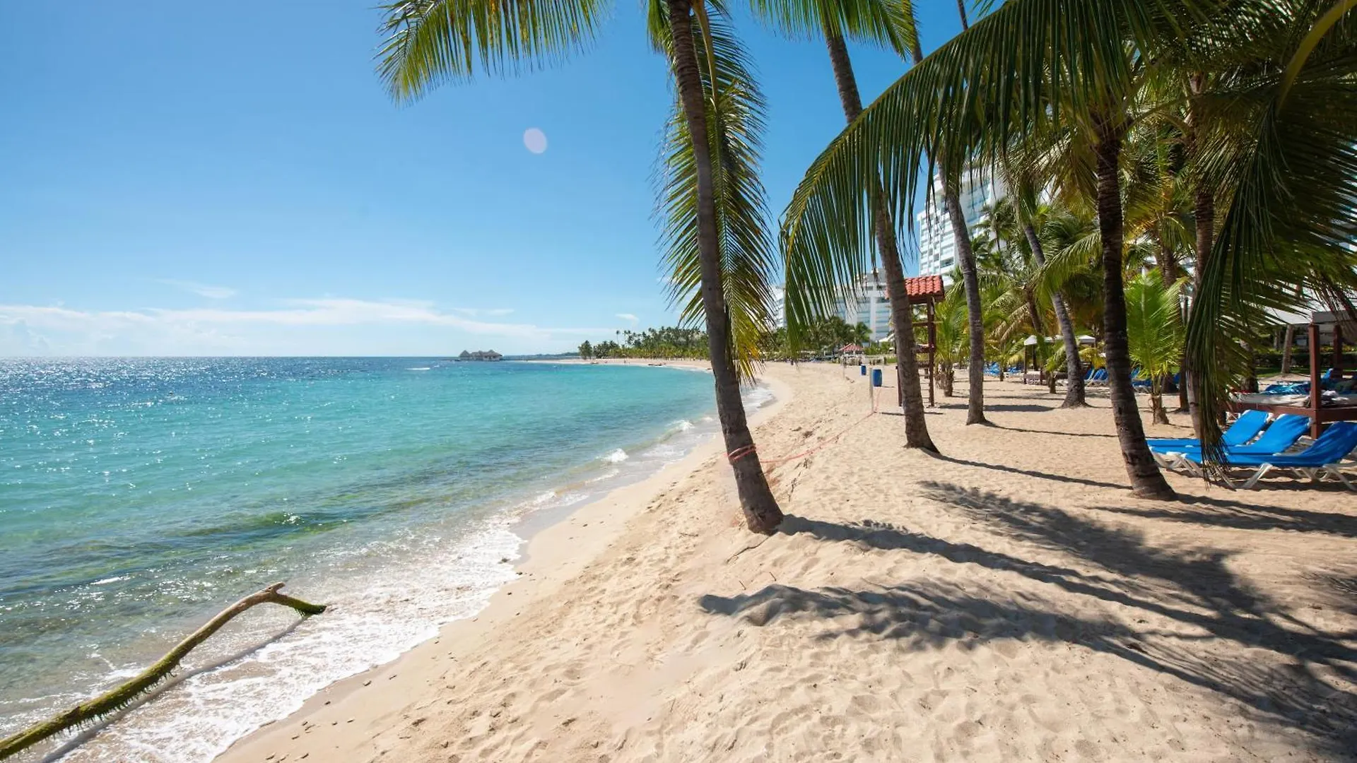 Luxe Beachfront Retreat With Pool, Gym & Private Beach Villa Del Mar Apartment
